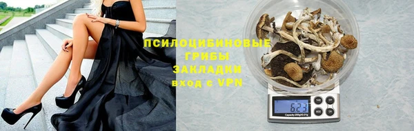 бошки Медвежьегорск