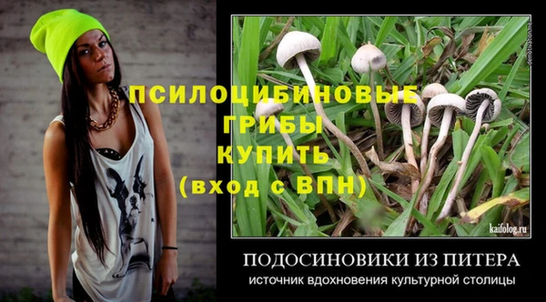 бошки Медвежьегорск