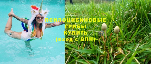 ECSTASY Медногорск