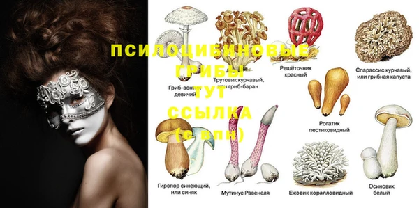 хмурый Майский