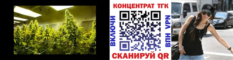 Купить закладки  Кемь  ТГК THC oil 