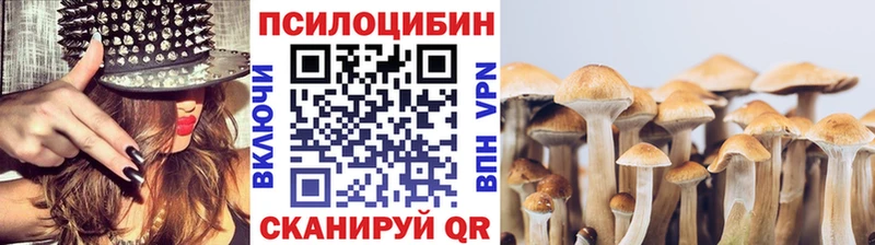 Купить закладки  Кемь  Галлюциногенные грибы Magic Shrooms 